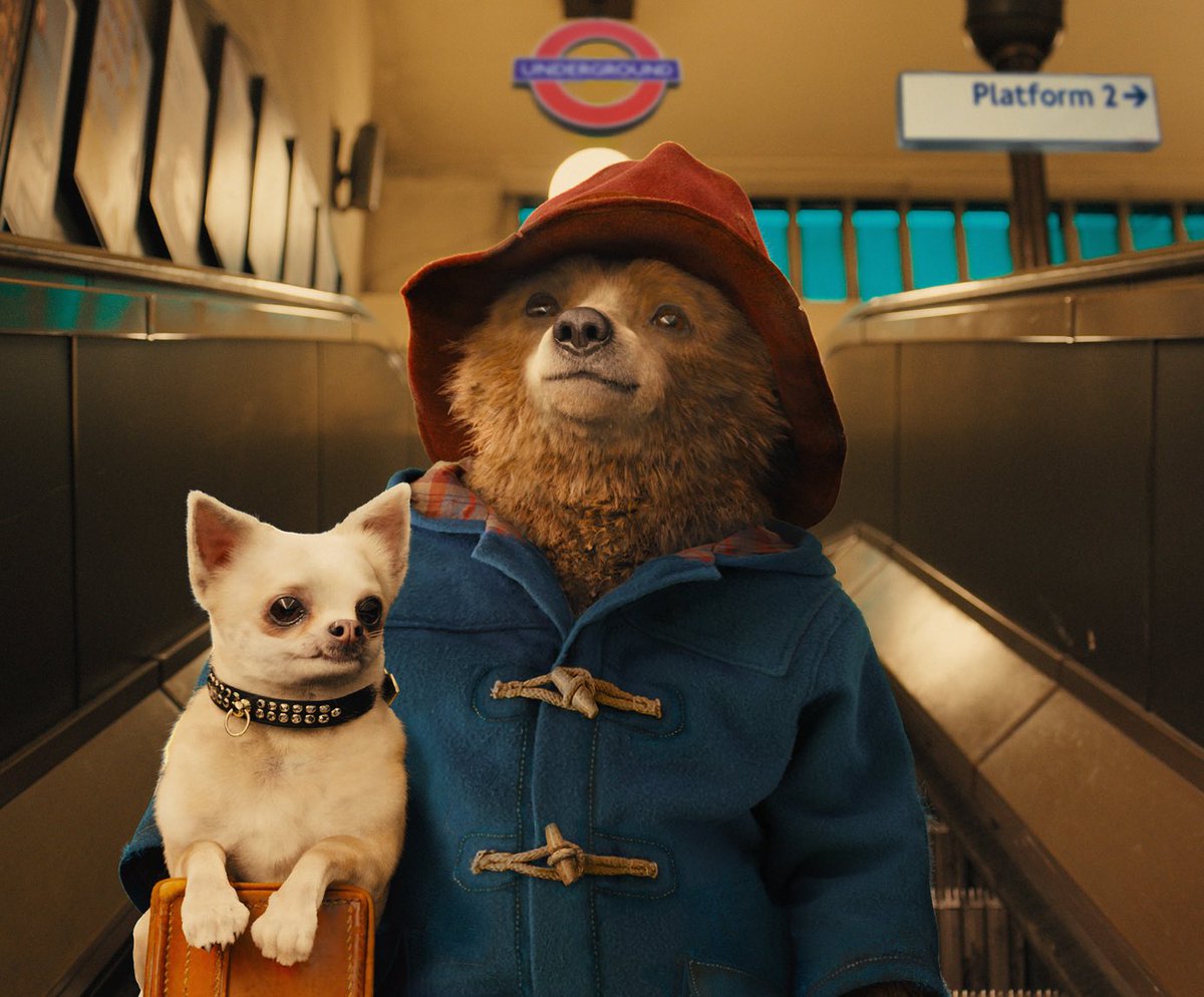 Paddington is a rare perfect movie. On the surface, a lovely film about a friendly (and hungry) bear But really it’s a story about family and opening up your home to those in need. A refugee coming to the UK to find safety and community. Now that’s the country I know and love ❤️