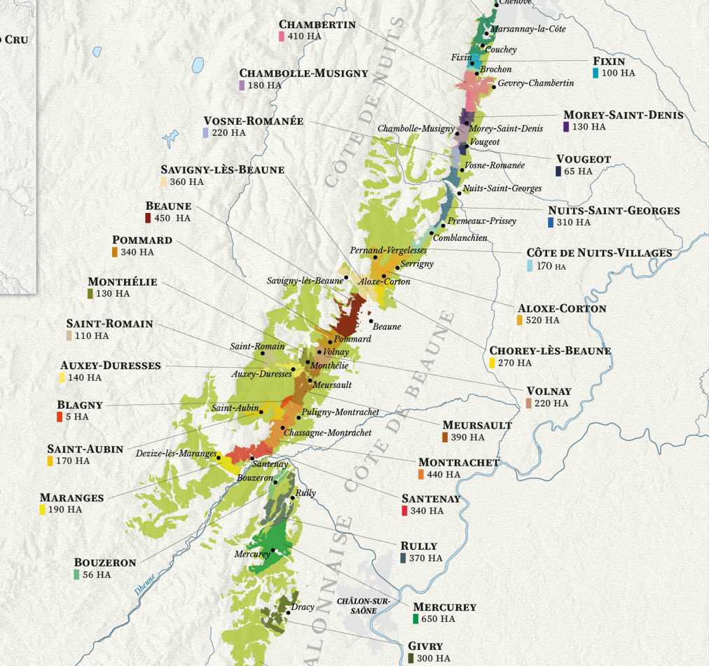 Our Burgundy Wine Map Poster is an ideal late Christmas gift
Use LATECHRISTMAS discount code at shop.vineyards.com

#winelover #latechristmaspresent #latechristmasgift #winemap #wine #winemaps #winemaker #winemoments #wineeducation #wineexperience #burgundywine #frenchwine