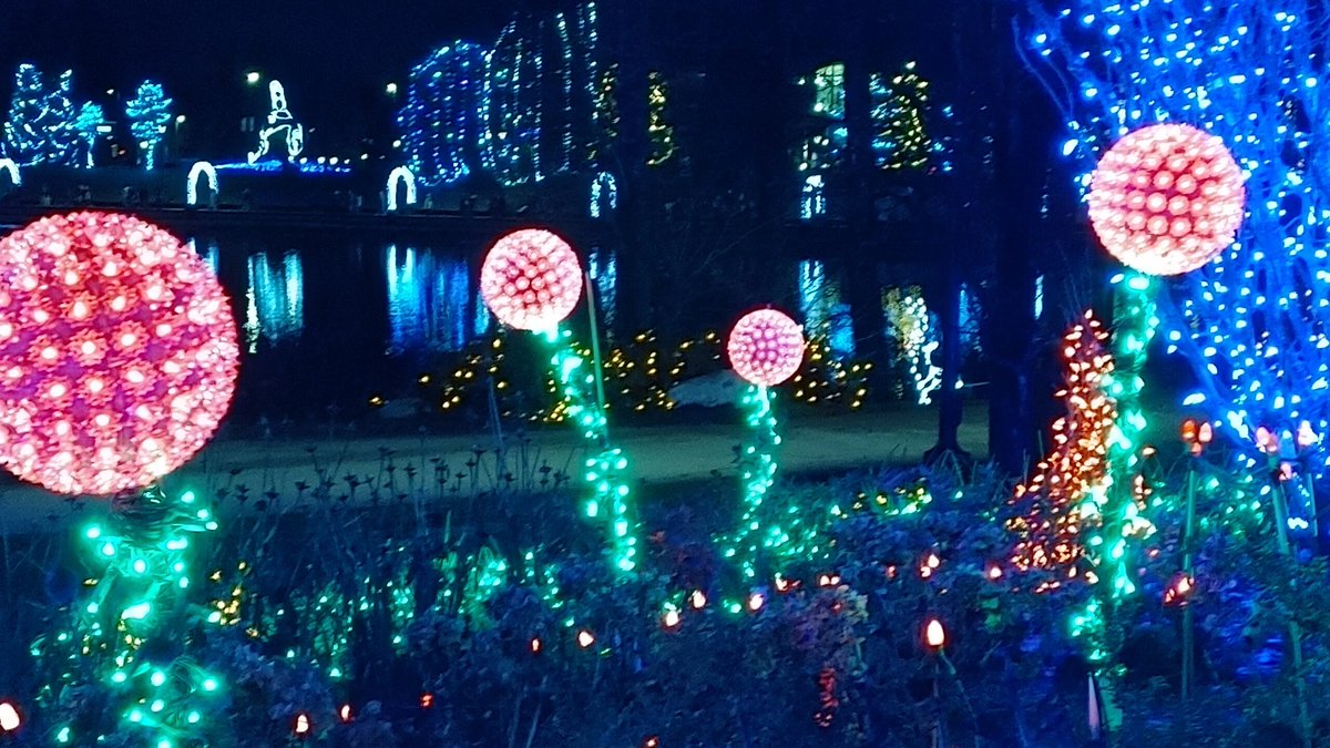 canadianretrot1's tweet photo. Out looking at #Chrstmaslights last night in #Coquitlam https://t.co/T3E9suIoV4