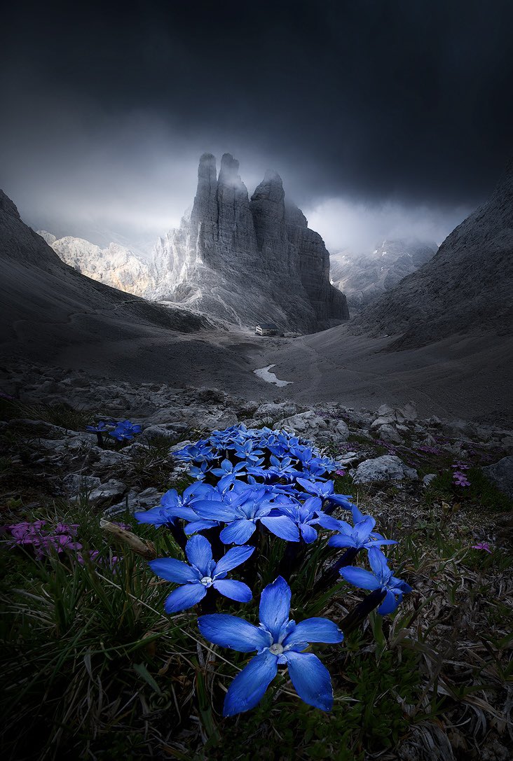 Isabella Tabacchi tweet media