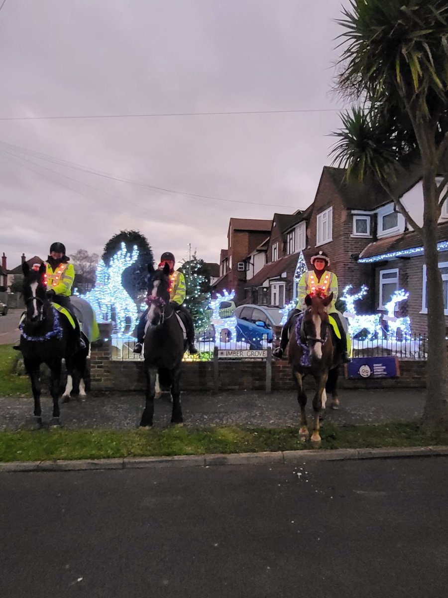 Today our Imber Court team were out on patrol on remount (training to be a police horse) Bobby, PH Olive & our new groom Polly on PH Phoenix. They were spreading festive cheer at the Great Ormond Street Charity House! ^3433CO