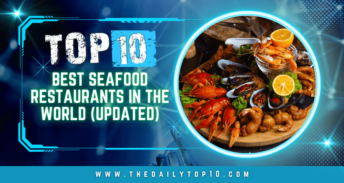TheDailyTop10s's tweet photo. 🌍〛Travel | Food | Drinks 〉 Top 10 Best Seafood Restaurants in the World (Updated)

https://t.co/4pVjs5gMEe https://t.co/7ijyB6dcRe