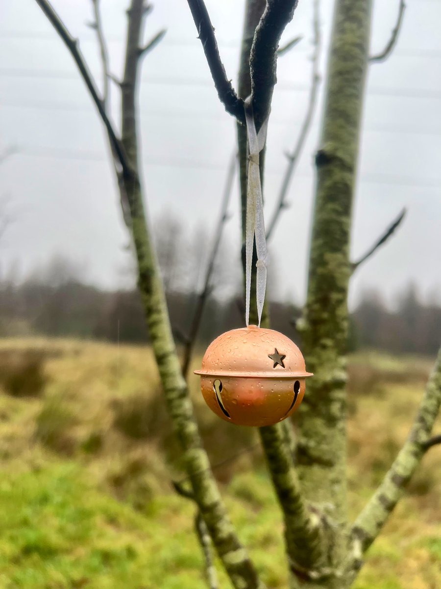 griefwave's tweet photo. Always go to mum's @TheTreeofLifeUK on 23rd December....the last date I saw her...6 years this time. A wild walk in the wind and rain this year. I go alone to just be. No easier, I get it's never going to be now so I'm not waiting for it to be anymore.Happy Christmas Mum.🌼❤️ https://t.co/Jw3fI5ChM0