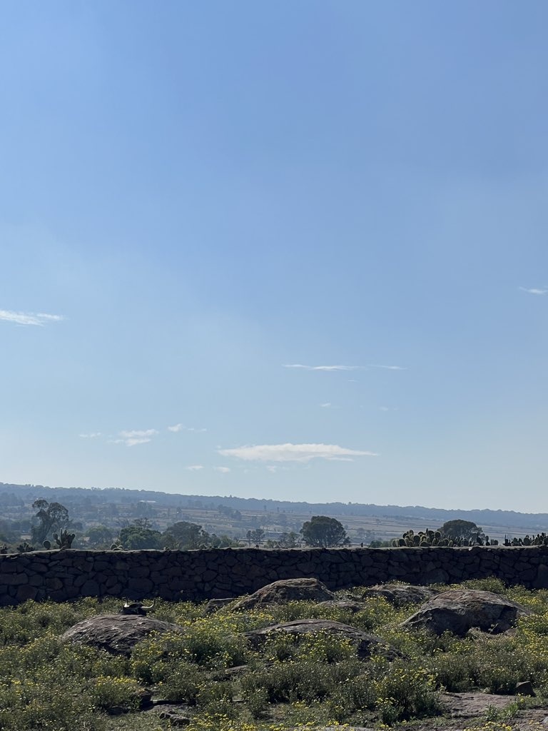 Encuentren el toro 👀🐂