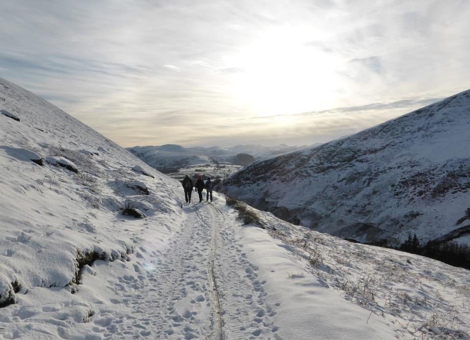 The Wainwright Society tweet media