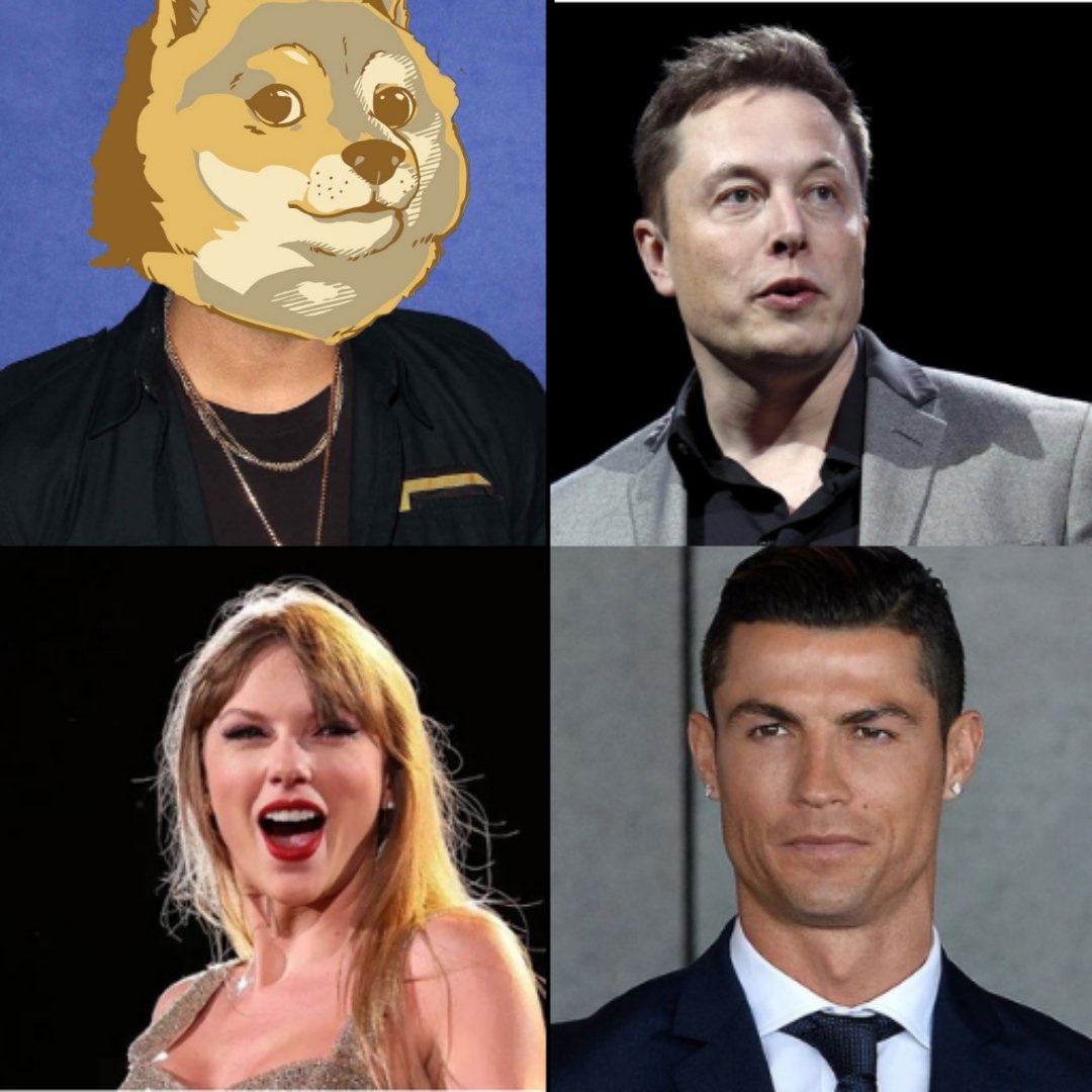 BarronTheeDoge tweet media