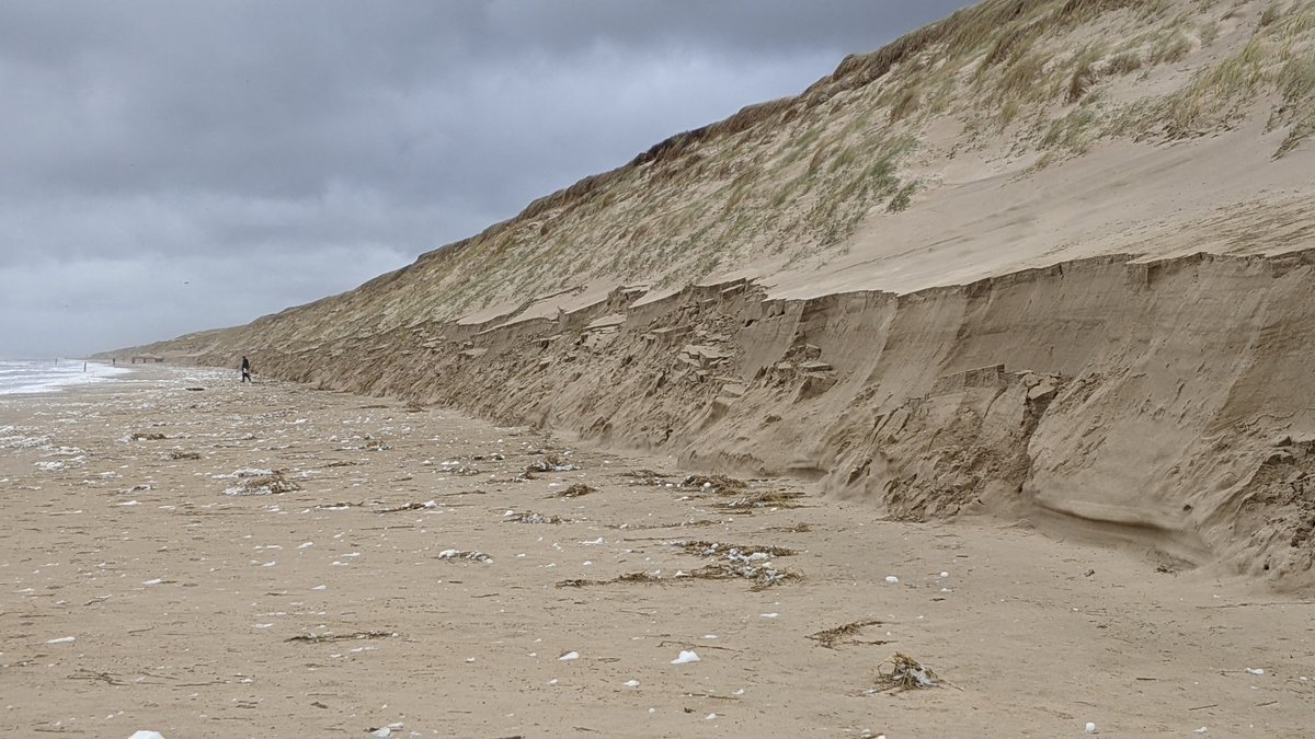 timothydprice's tweet photo. Pre-storm bar-beach-dune morphology varied alongshore and so did dune erosion. Looking forward to placing this event in the context of our ongoing monitoring. That will have to wait until 2024, but for now I'm glad we managed to capture this event. #StormPia https://t.co/qOvmbbDDuS