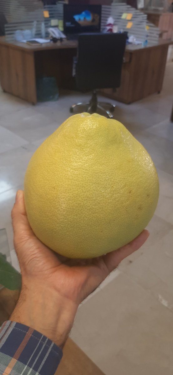 iahmaleki's tweet photo. @youhahahajk یکی از همکارانمان برای ما آوردن 😂 https://t.co/NFteWZiW0P