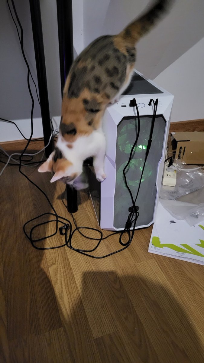 malouchons's tweet image. Cousine est juste pas sage. Alors papi, mamie, papa noël, pas de cadeau pour elle