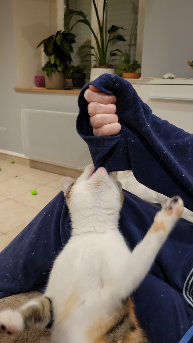 malouchons's tweet image. Cousine est juste pas sage. Alors papi, mamie, papa noël, pas de cadeau pour elle