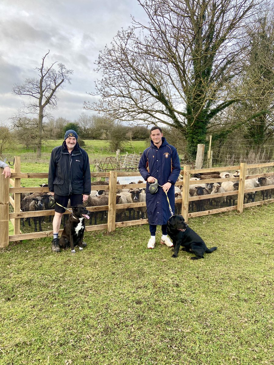 HoovesTails's tweet photo. Hoof trimming day for the sheeple! Regular check, medication, and mud removal. 

Rounding up the flock is a big task, but with the help of Lady, Harley, Tom, and Gavin, we did it in 5 hours🐑💕 

#sheepcare #hooftrimmingday #flockhealth #sanctuarylife #animalwellness #sheeplove https://t.co/5F8r0bTAiT