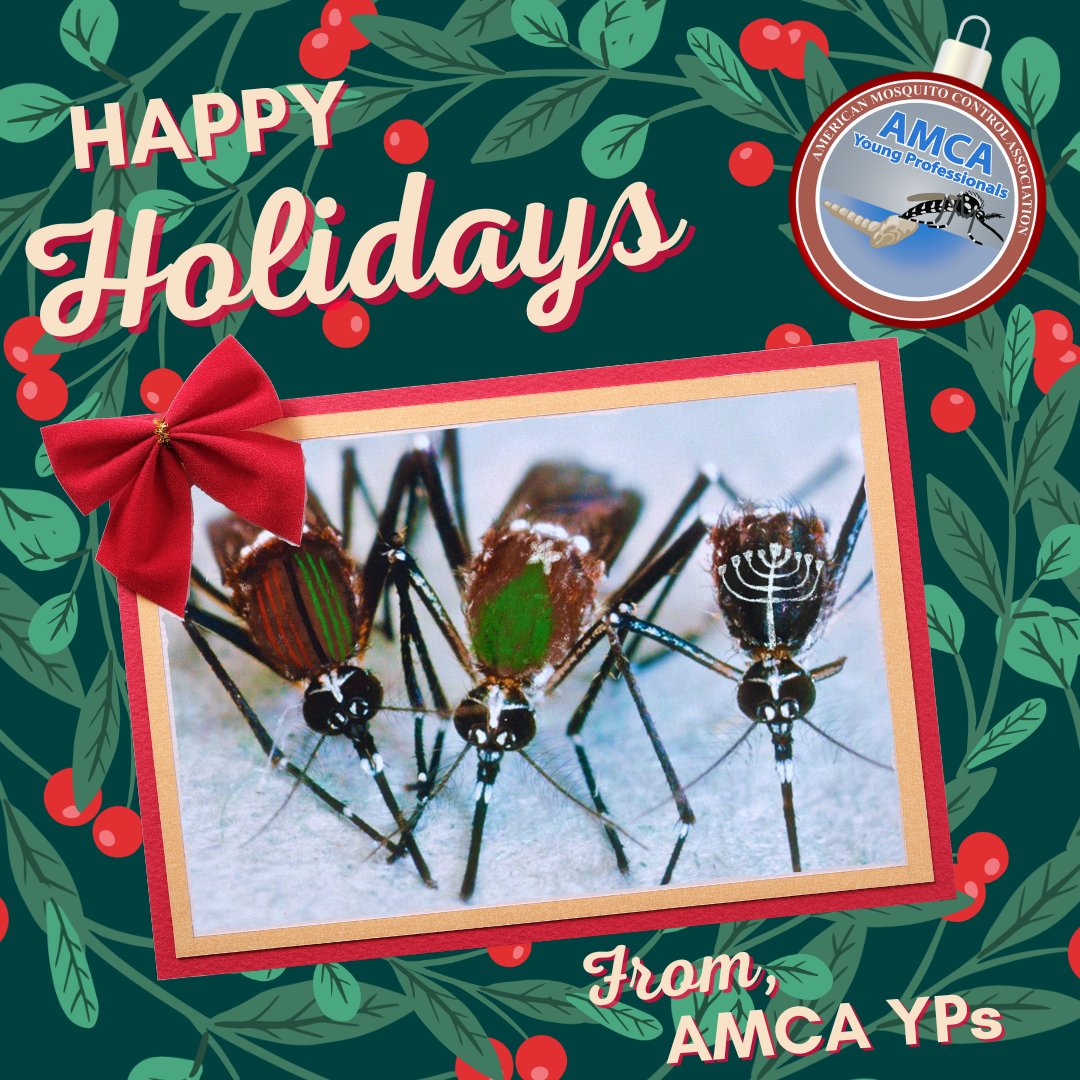 AMCA Young Pros 🦟 tweet media