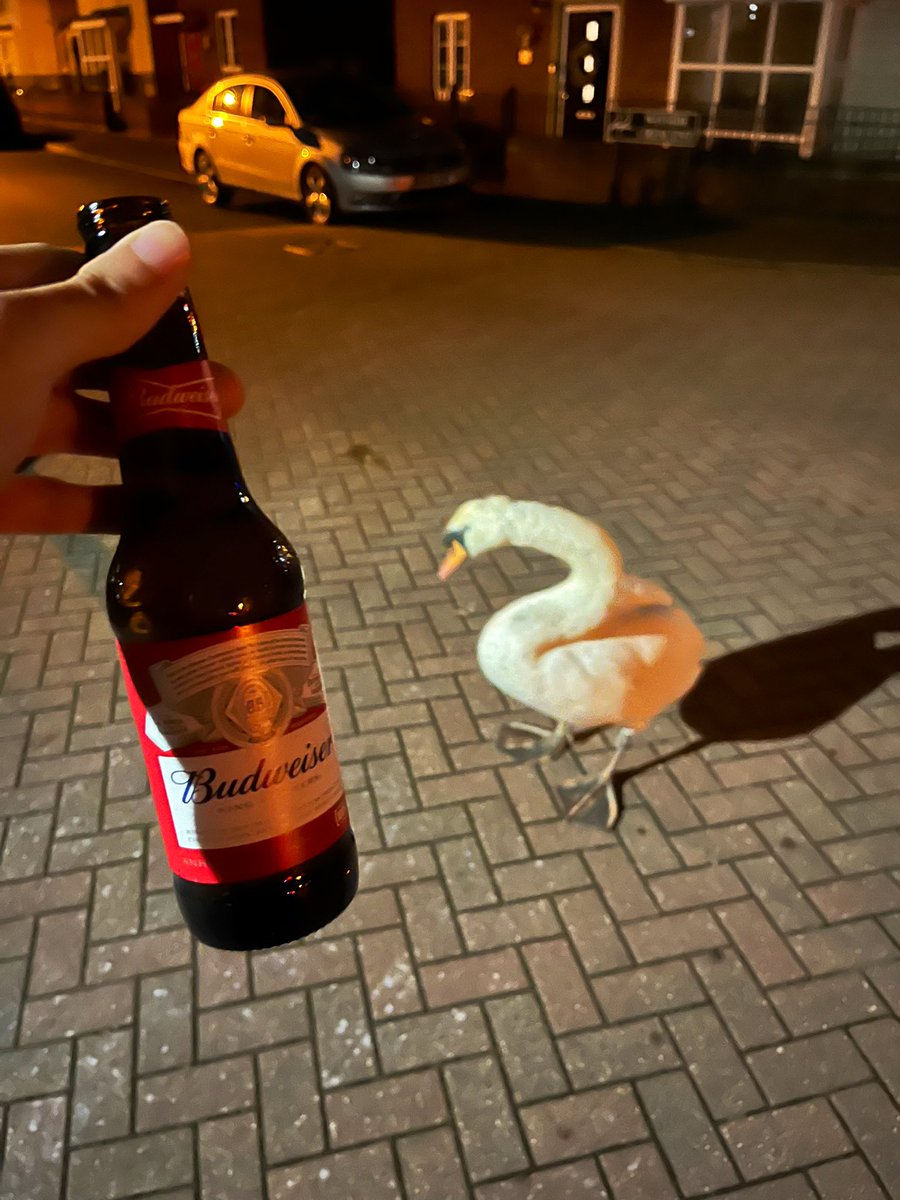 chiefkeefmidi's tweet photo. nothing better than having a beer with your best friend https://t.co/blx7cVtDSW