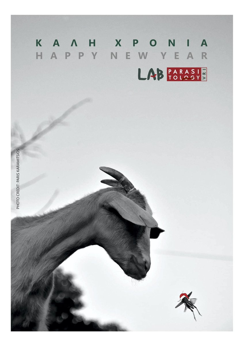 We wish you all happy holidays spent with your nearest and dearest!!! here to a more exciting 2024!!!
