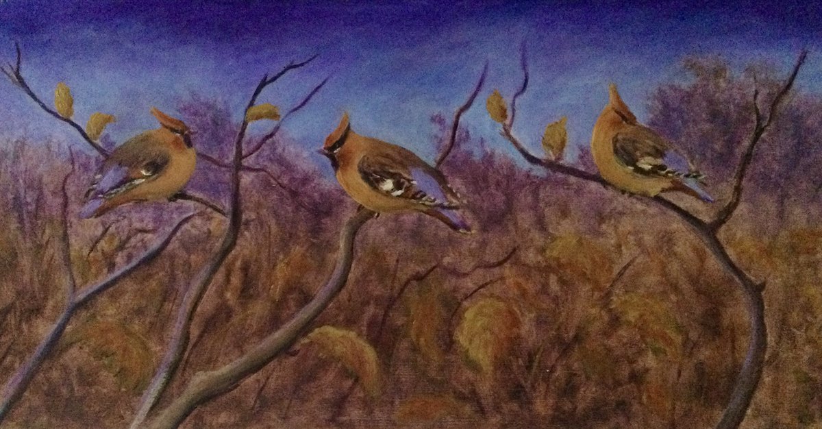 Scrambled to get this one finished (oil on board) but ran out of time, still needs tweaking. Waxwings, in what’s turned out to be a good Waxy year! Many thanks for sharing all your wonderful nature &amp; art content, and support for my art - have a lovely Xmas! Cheers 🍻🥃👍🙏
