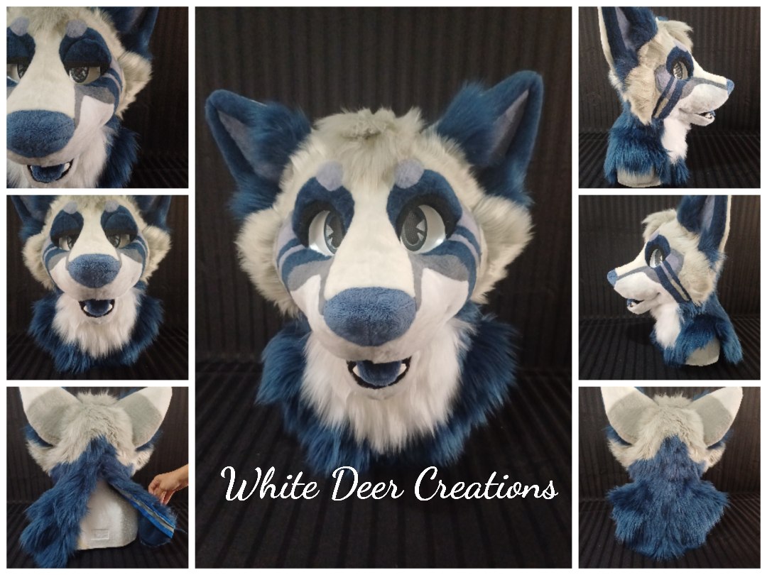 creations_deer's tweet photo. Commission for Jesua Takito on fb🐺✨
Done a few months ago!

#furryfandom #fursuit #fursuitmaker #fursuiter #fursuiting #furry #Furry https://t.co/AVxnRTaQTp