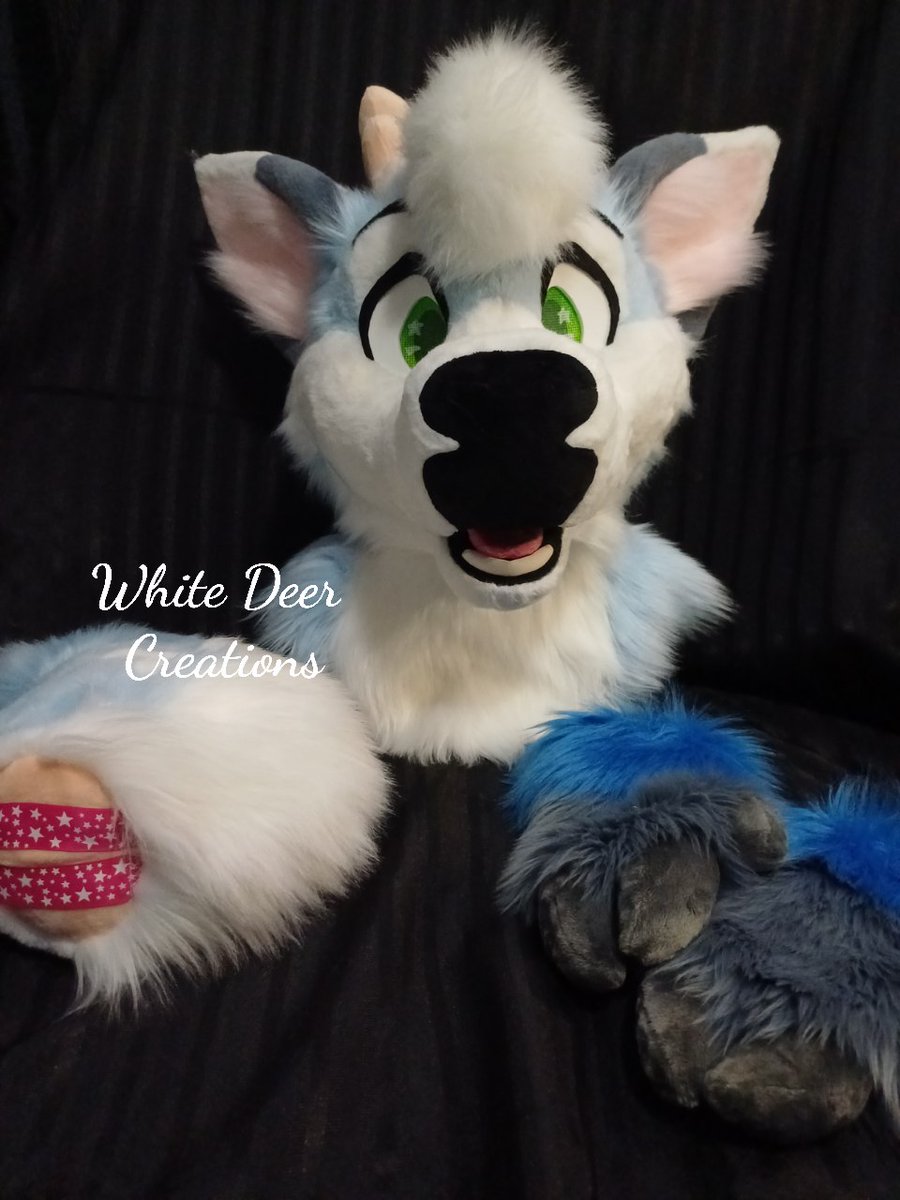 creations_deer's tweet photo. Commission completed a few months ago for @Sherwin_Fawn 🦌🩵✨
A more toony style 👀

#furryfandom #fursuit #fursuitmaker #fursuiter #fursuiting #furry https://t.co/7CKIzCwG7P