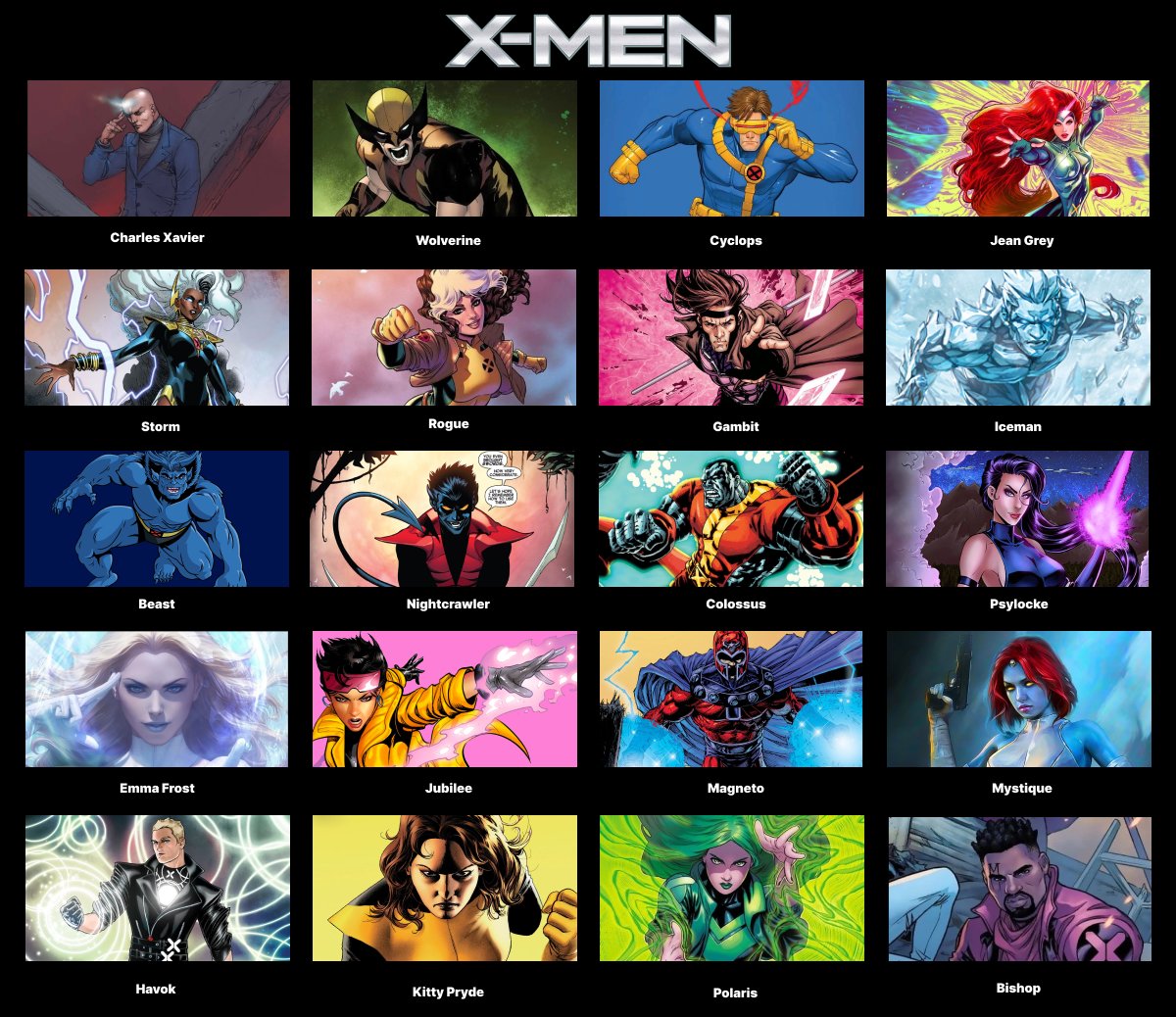 Storm, Professor X, Wolverine, Beast, Rogue, and Jean Grey., image size:1200x1038