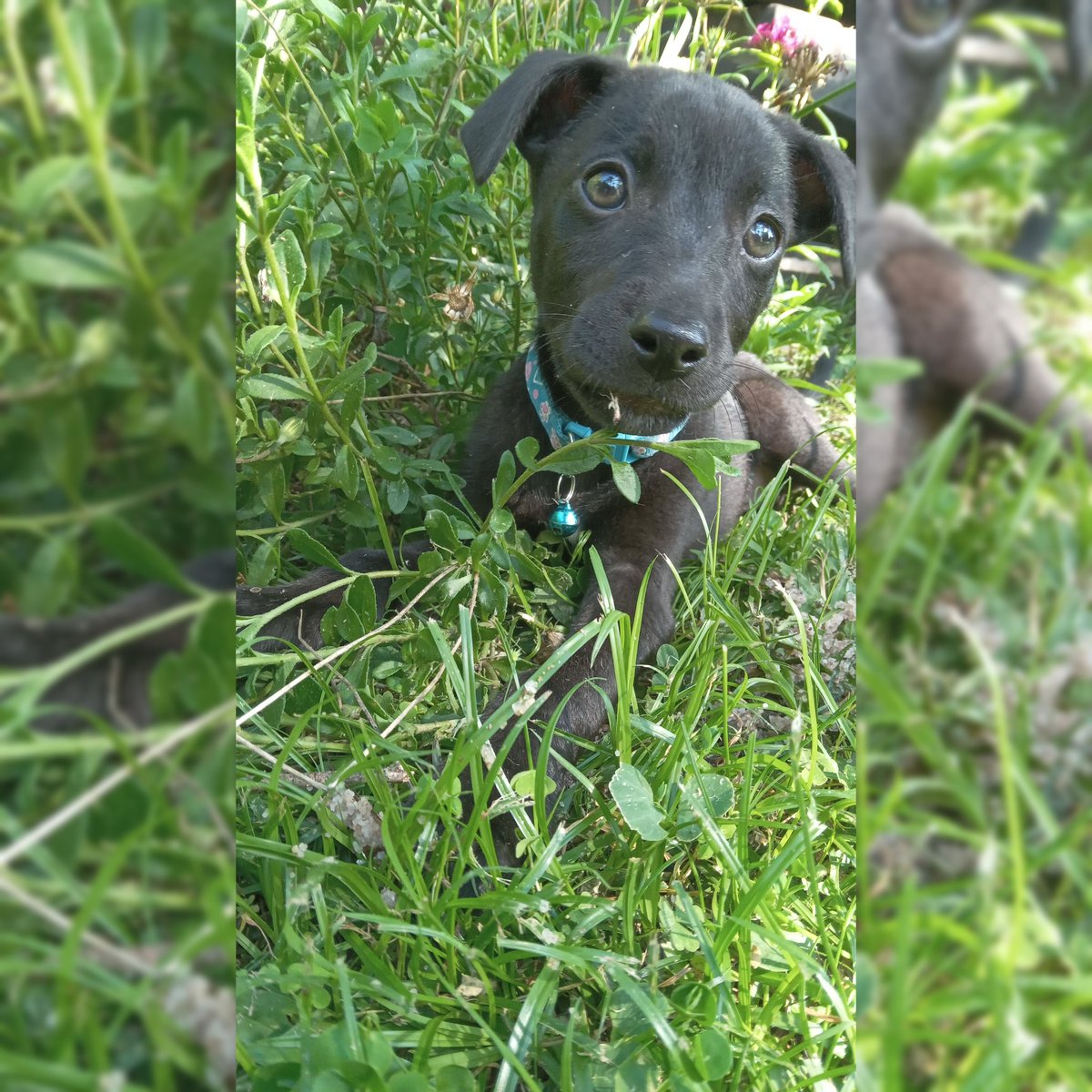 Restlesflame's tweet image. No caption needed