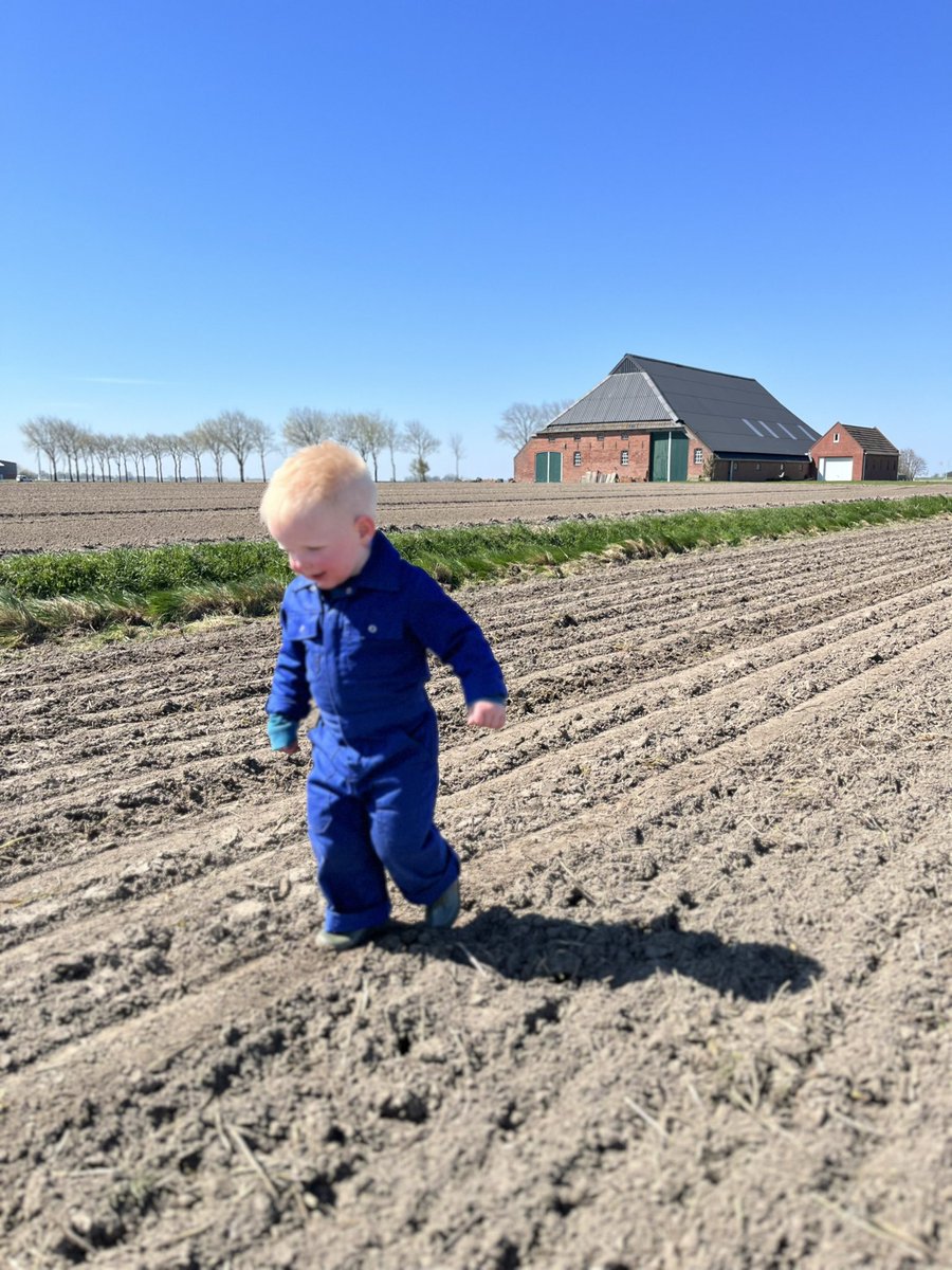 Menko Duisterwinkel tweet media