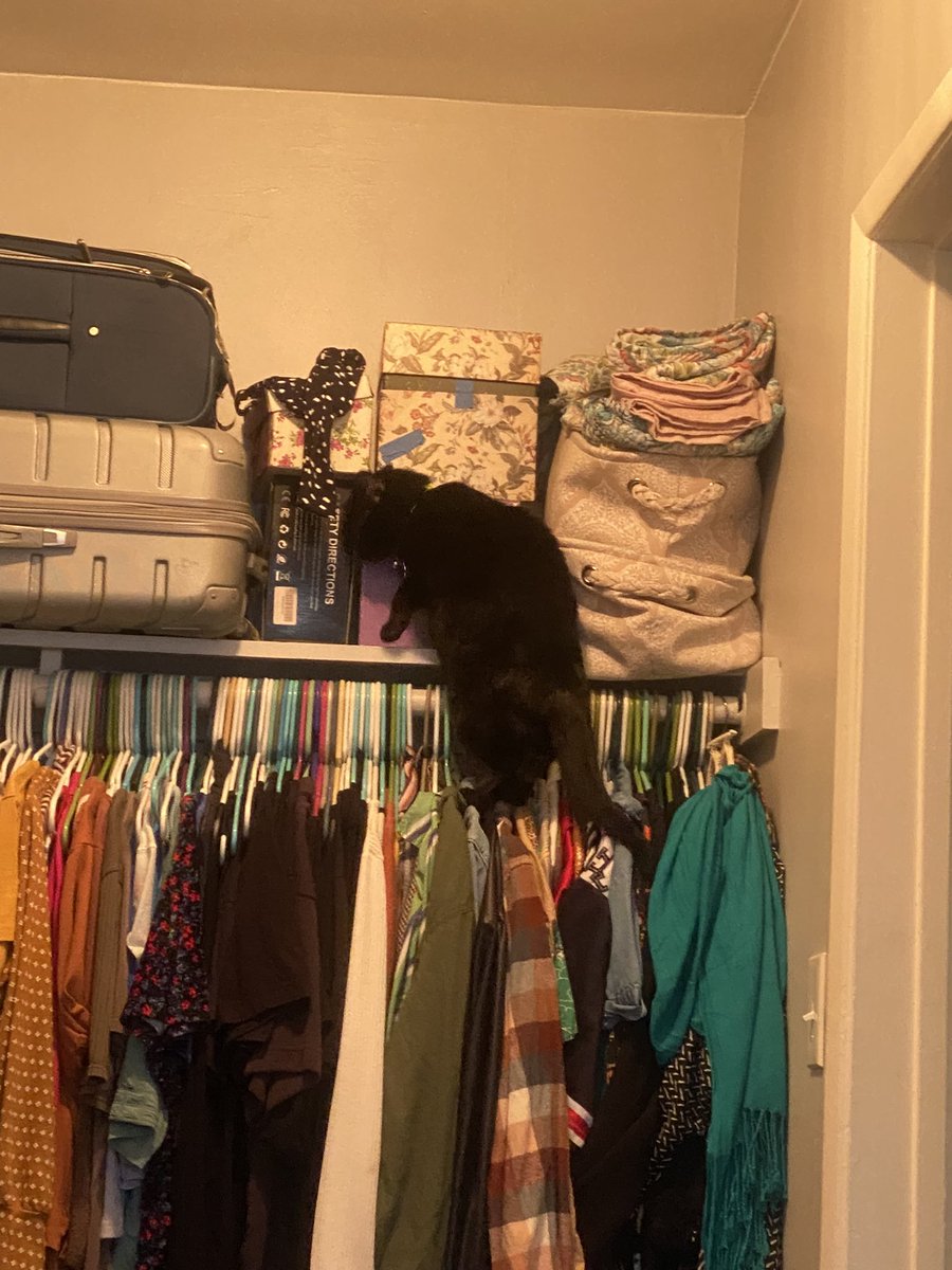 Elvia Limón @elvialimon - Twitter Profile | Sotwe