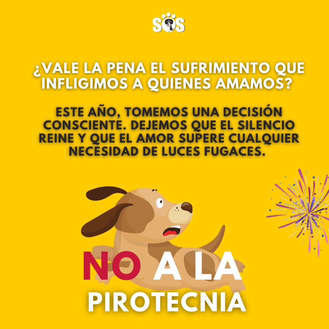 EncontrandoSos's tweet photo. Detrás de cada destello y estruendo, existe un drama silencioso que afecta a aquellos que no pueden expresar su miedo.

#noalmaltratoanimal #noalapirotecnia https://t.co/XE36V5TfDs
