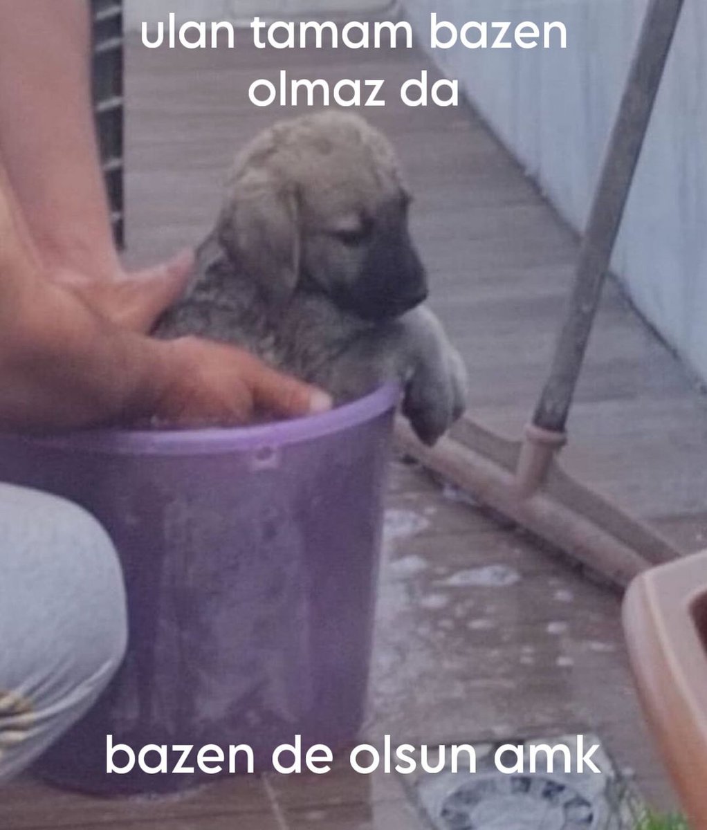 Arkadaş Terörü (@arkadasteroru) on Twitter photo 