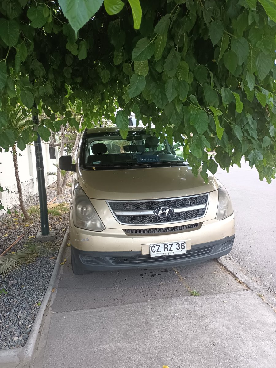solangebrevis's tweet photo. @LATAM_CHI  creo que debe controlar sus choferes y sus hábitos de estacionar. @MuniNunoa Augusto Villanueva 530 Ñuñoa https://t.co/odSUSckFGr