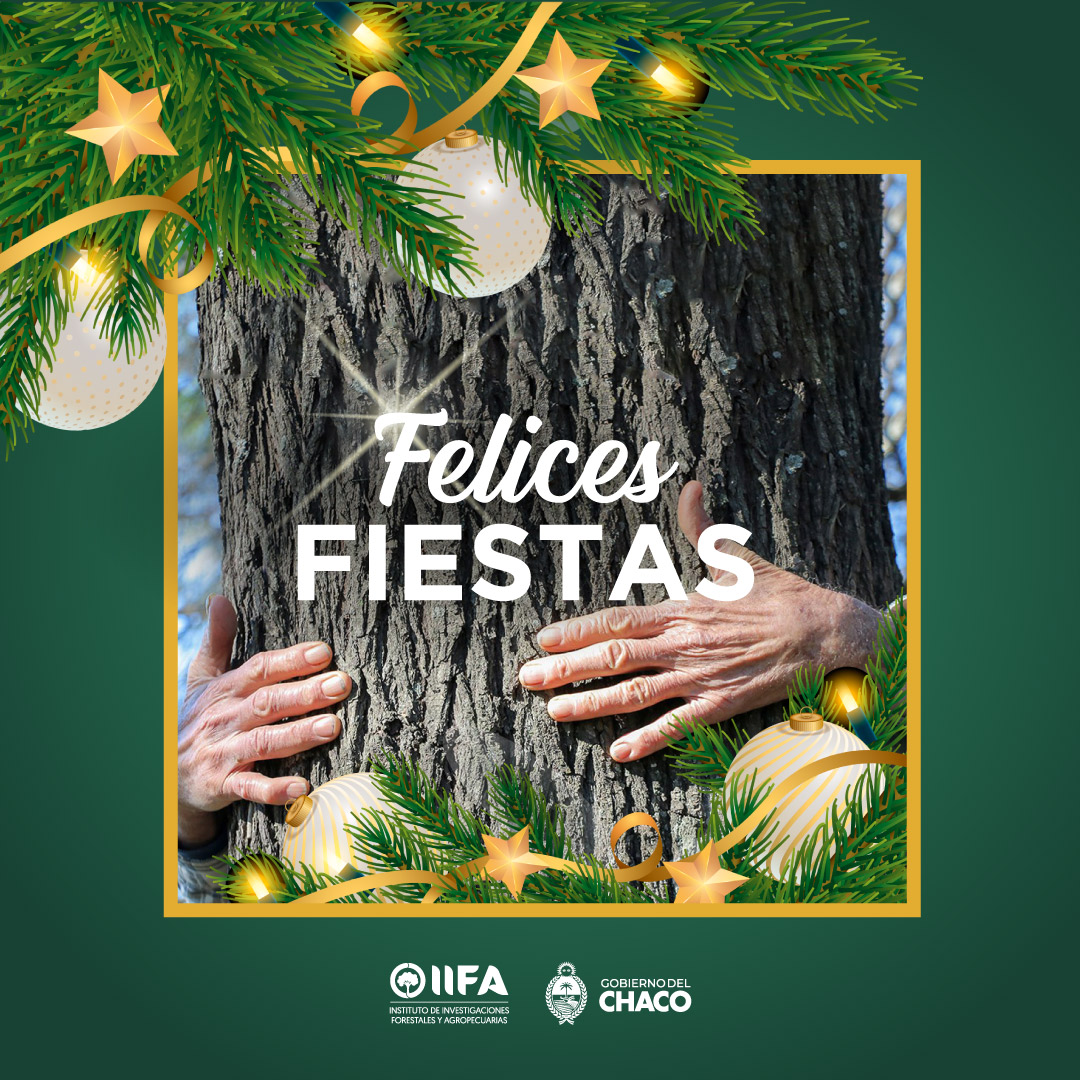 iifa_chaco's tweet photo. Que las expectativas y los deseos de cambio se conviertan en oportunidades de crecimiento para nuestro suelo. Que la labor ambiental y sostenible encuentre la puesta en valor de la cadena Foresto - Agropecuaria de nuestro #Chaco. 
¡Felices Fiestas! 🎄✨ https://t.co/0J1IEAM5ta