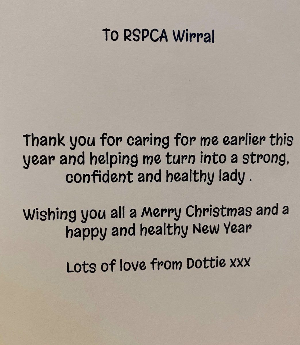 One of my favourite outcomes of the year. Dottie was a few days away from dying of starvation when I removed her. Now, she’s loved, goes for walks, lies by the fire, has a best mate, goes to the pub. And sends her own Christmas Cards 😂. Merry Christmas Dottie 🎅 🐶❤️