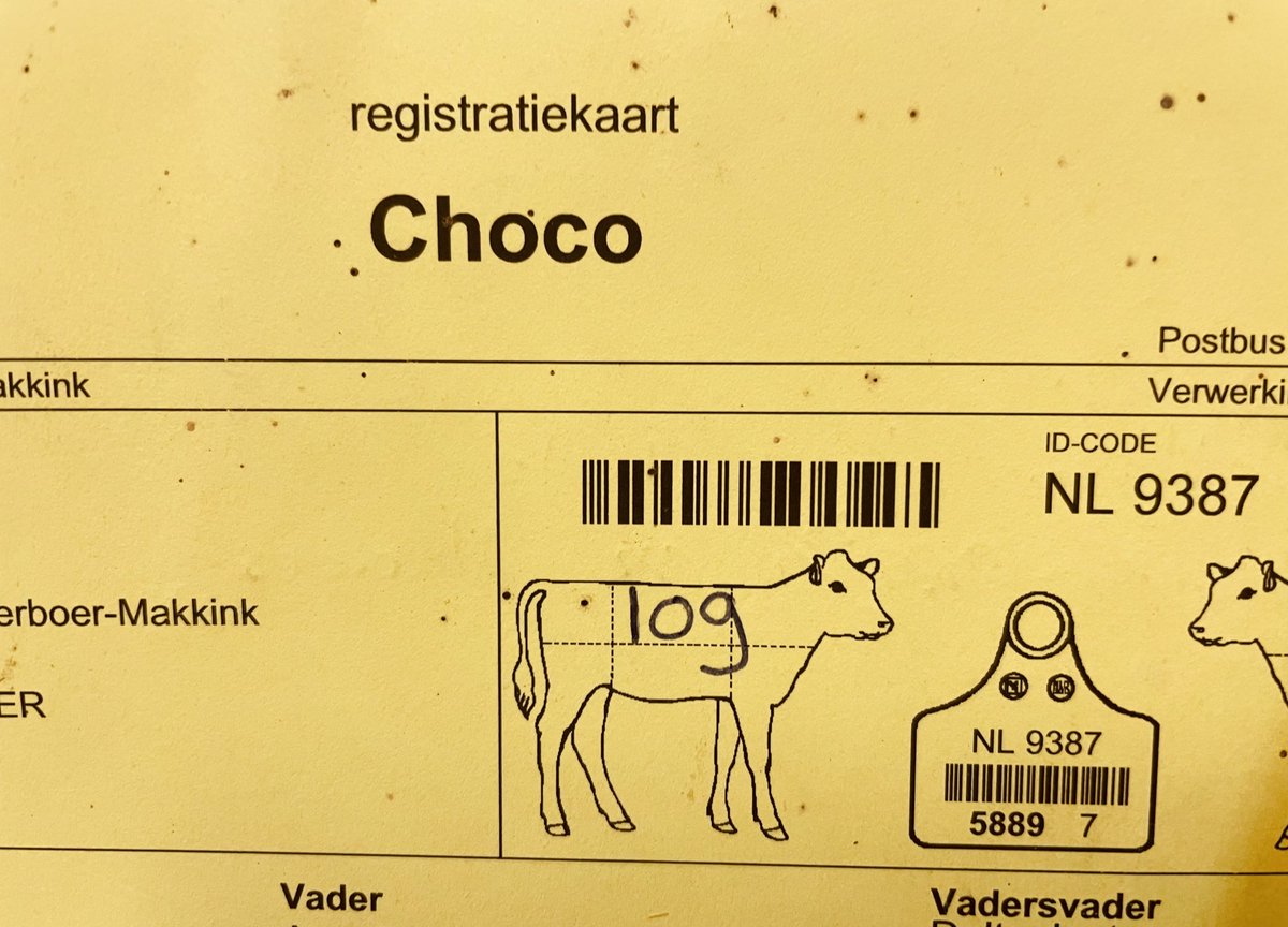 Geertjan Kloosterboer tweet media