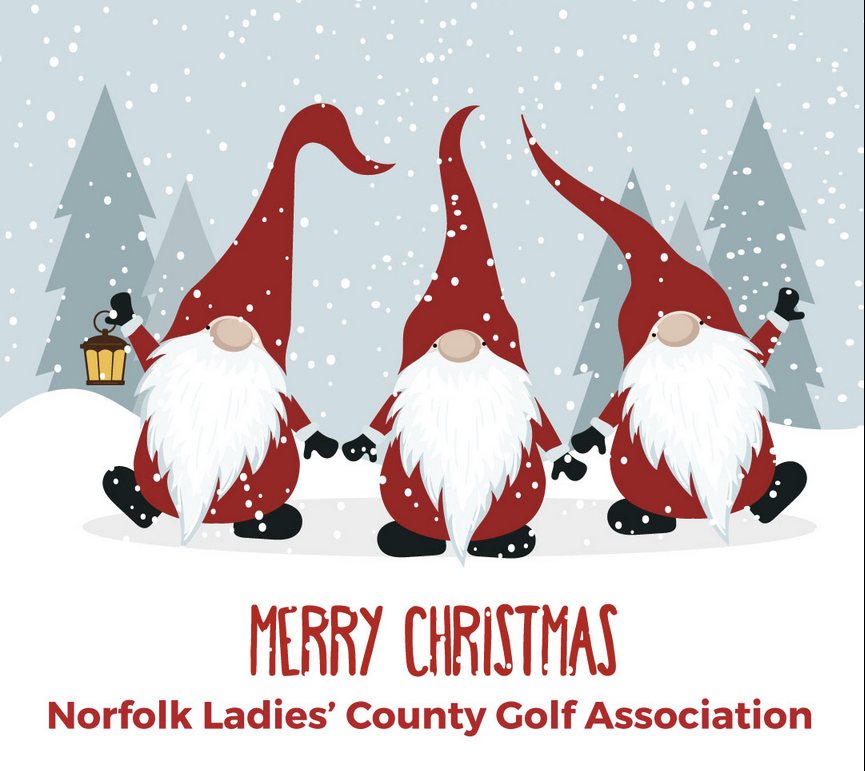 Norfolk Ladies Golf tweet media
