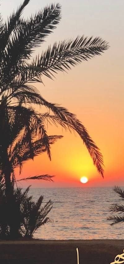 قد نحتاج أحيانآ لشيء كالبحر يسمعنا بصمت ولايجادلنا