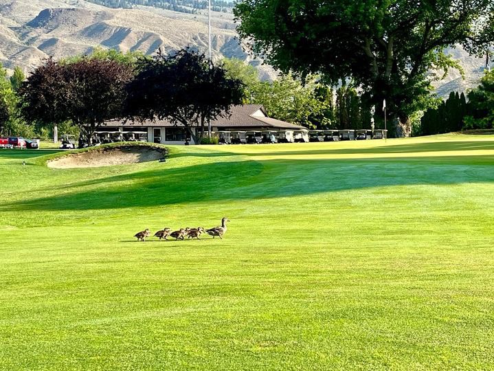 Kyle Pitts tweet media