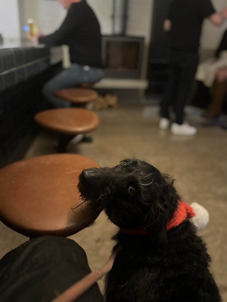 Duffle&MaisyPowell tweet media