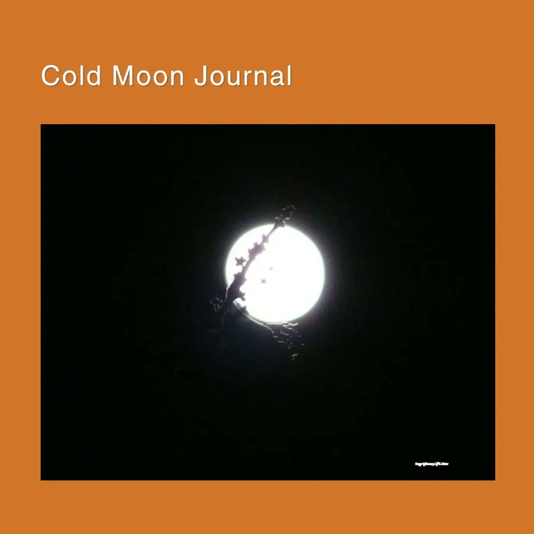 Shane Coppage tweet media