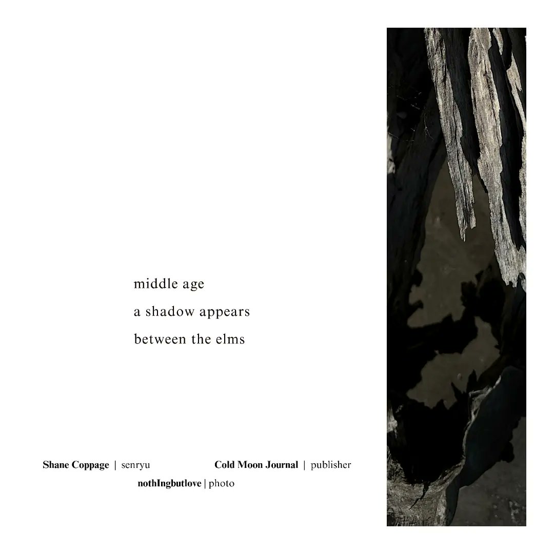 Shane Coppage tweet media