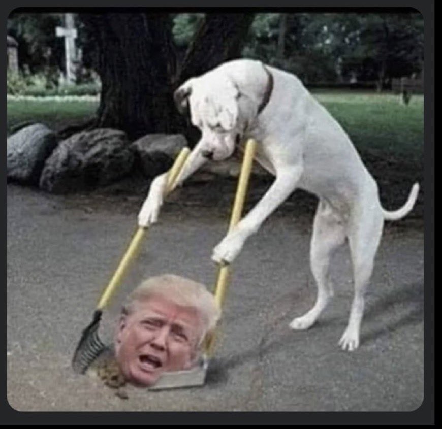 LePapillonBlu2's tweet photo. Dog shit #TrumpSmellsBad 💩 https://t.co/4zNOHQaf01