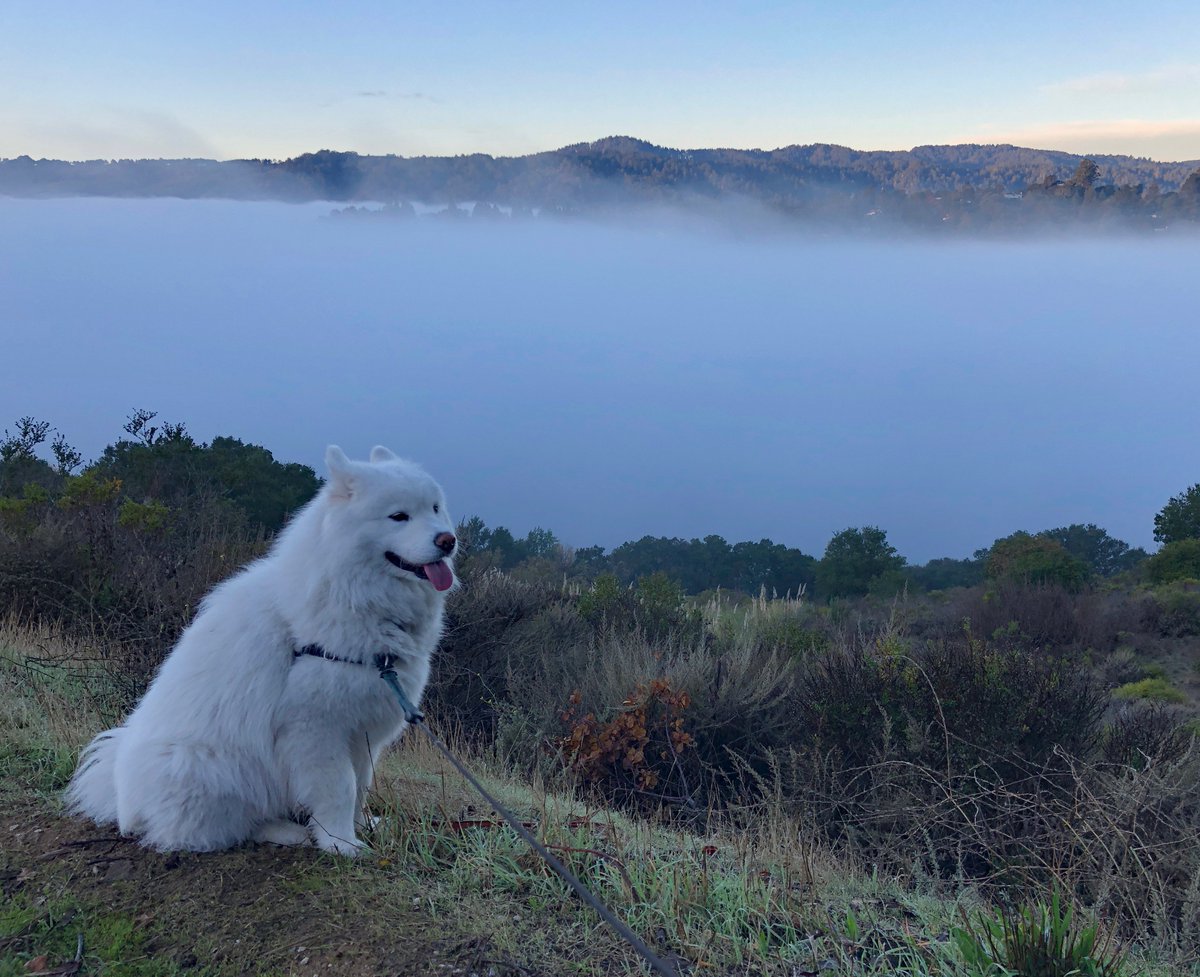 Paul Saffo tweet media