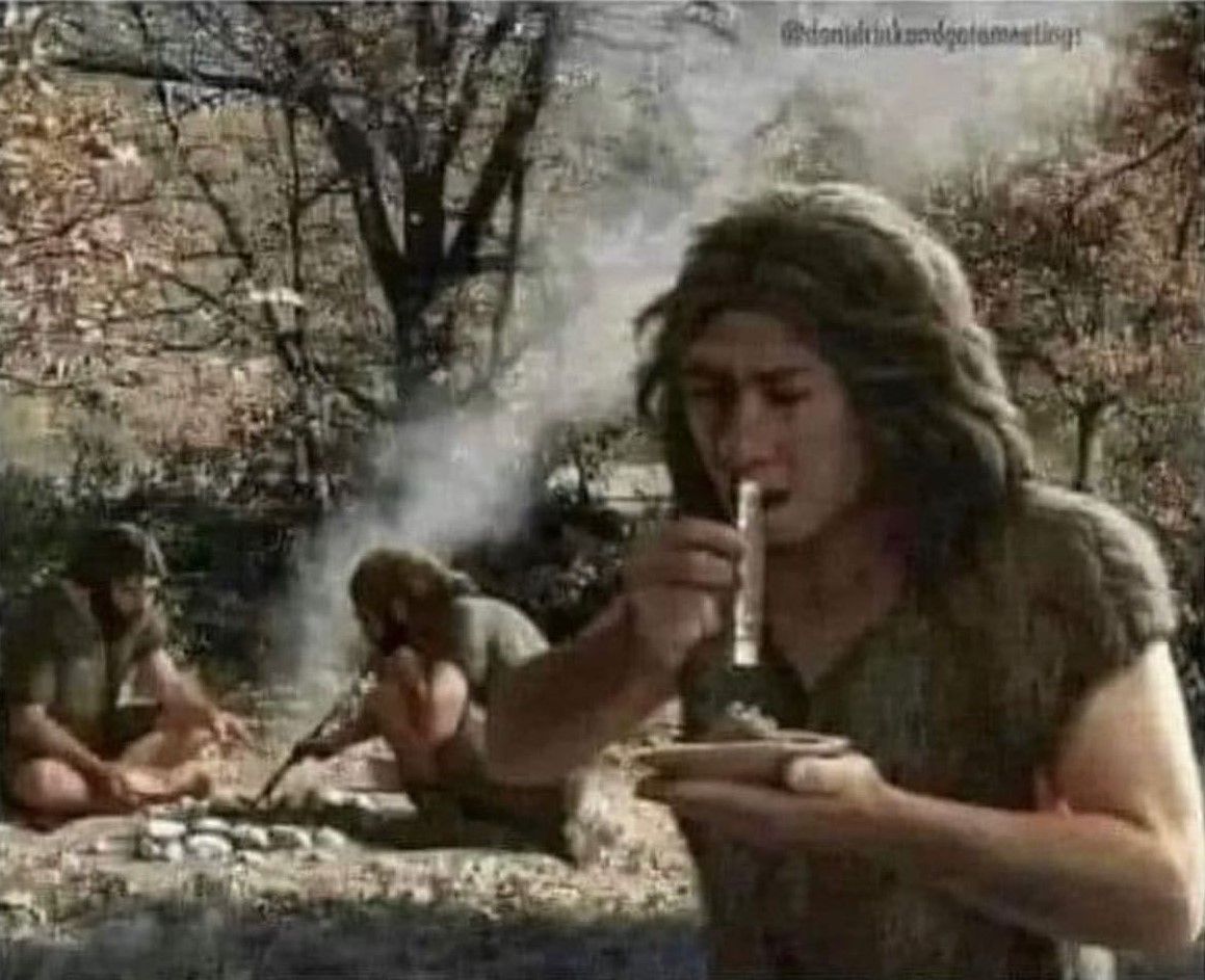 Shoutout to all the early humans that died trying to figure out which plants would get us high