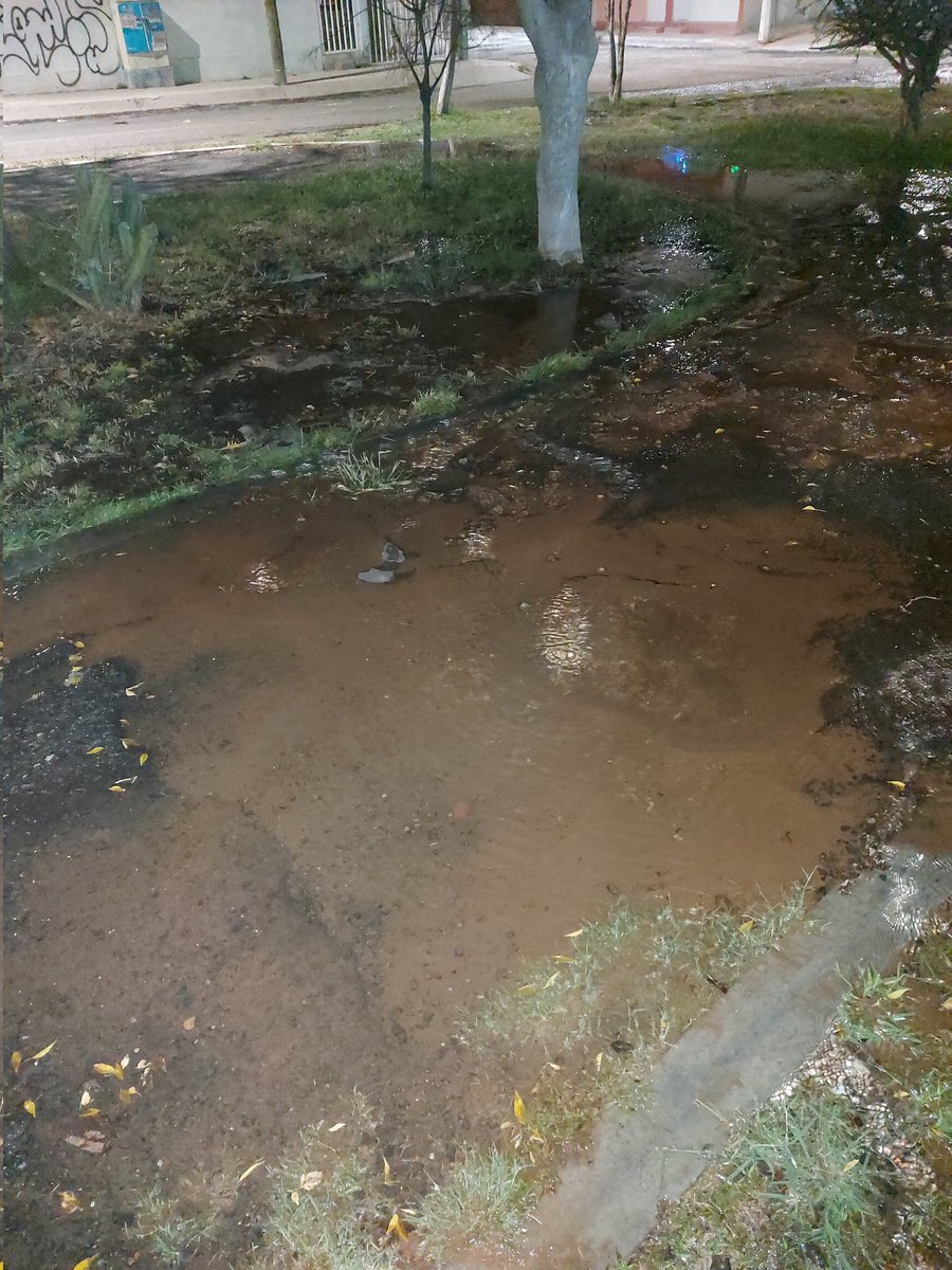 CubitoCleo's tweet photo. @RobertSosaP Buenas noches mi presi. A ver si nos pueden apoyar en lomas de balvanera en don José casi esquina con don gonzalo tenemos fuga de agua desde muy temprano y no han cerrado las válvulas. Ya hay vecinos que reportaron sin respuesta. https://t.co/nqvvF57kEJ