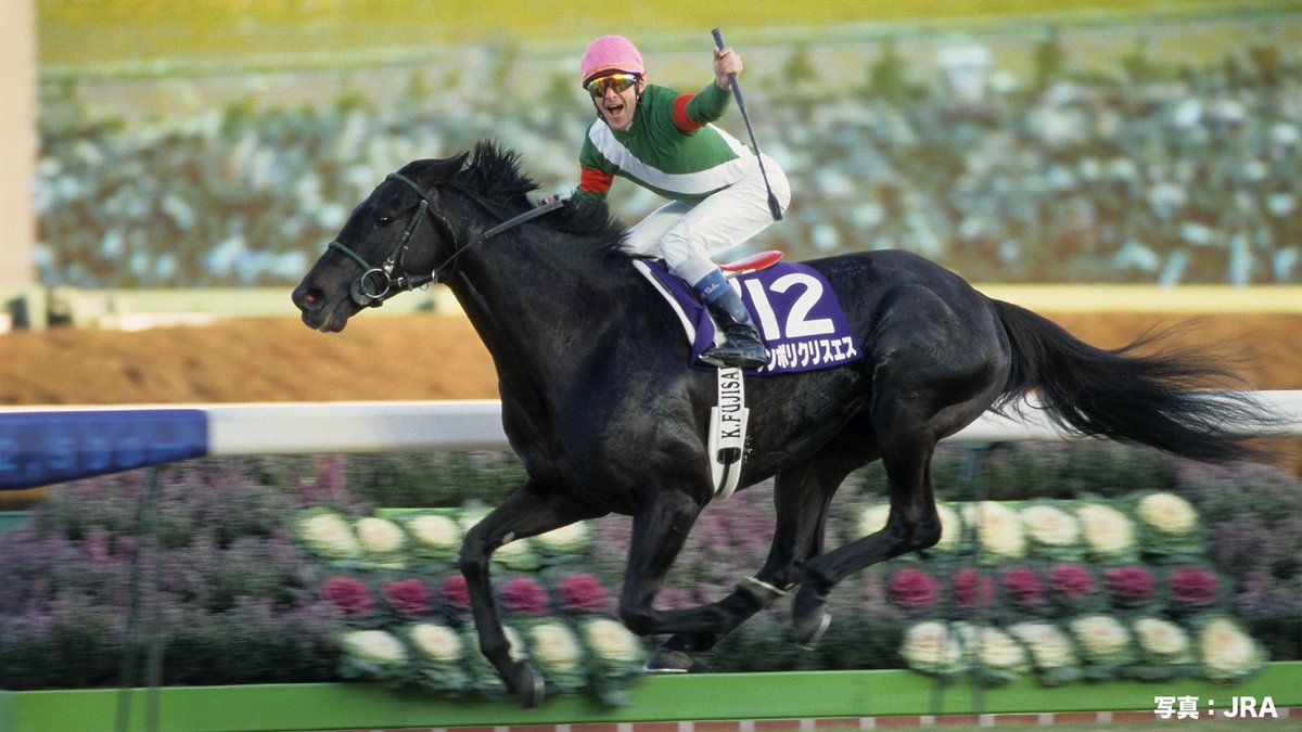 【現地・単勝的中】シンボリクリスエス 【有馬記念連覇！＆プラザエクウスGⅠカード 追憶の有馬記念】シンボリクリスエス独壇場の03年 ペリエ絶賛「ベスト