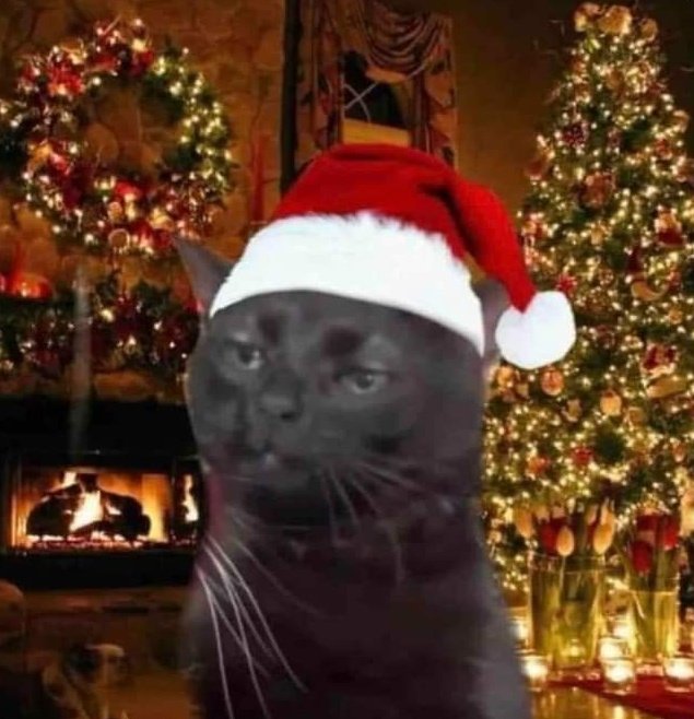 elespacioviral's tweet photo. Yo estorbando en la cocina viendo como preparan todo para navidad https://t.co/xlKwngWE1d
