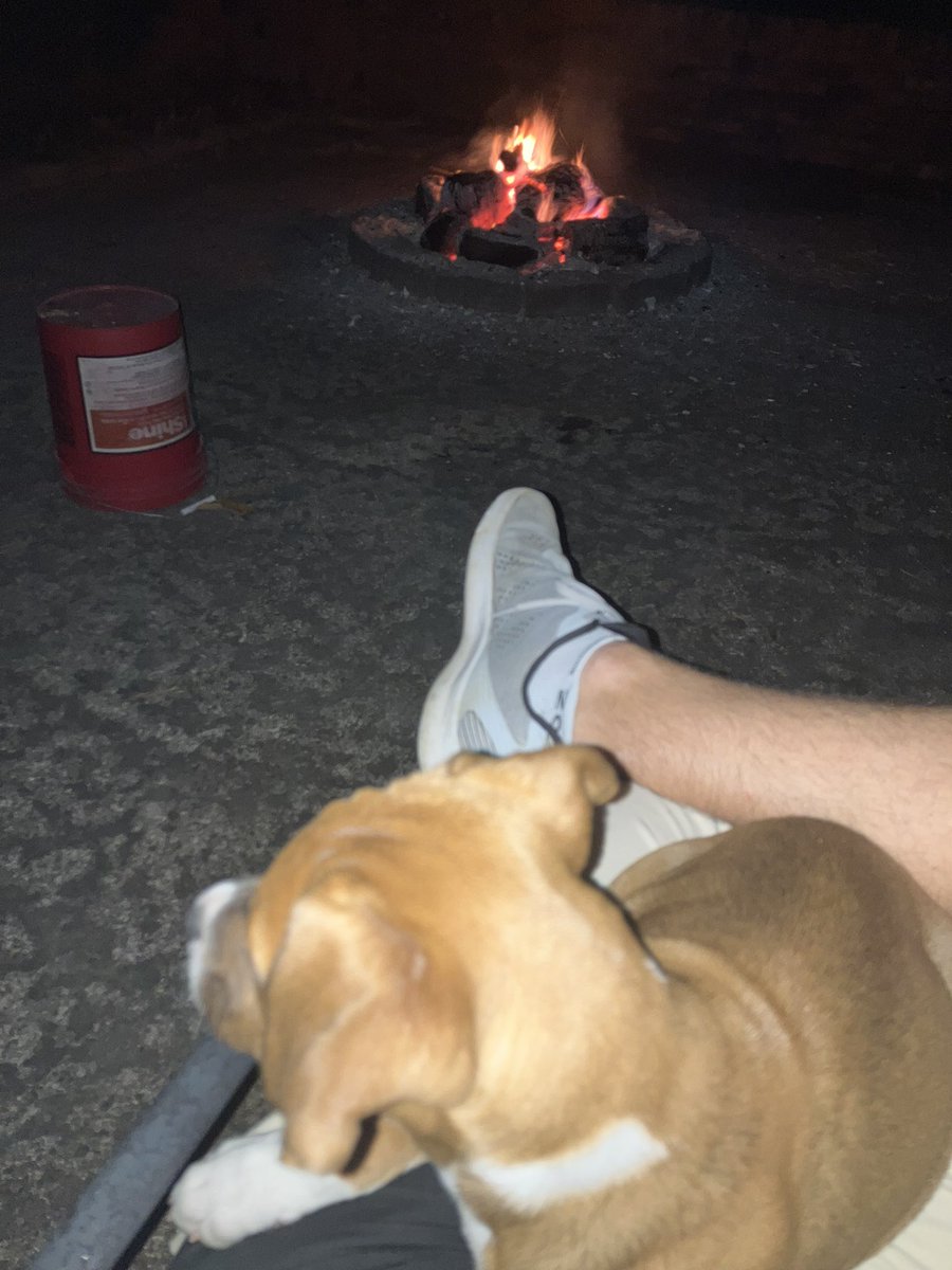 whitehallhero's tweet photo. We can’t get too close because he’s not sure about it, but I’m sure enjoying this. #firstfire #MerryChristmas https://t.co/wY4D7m4hPN