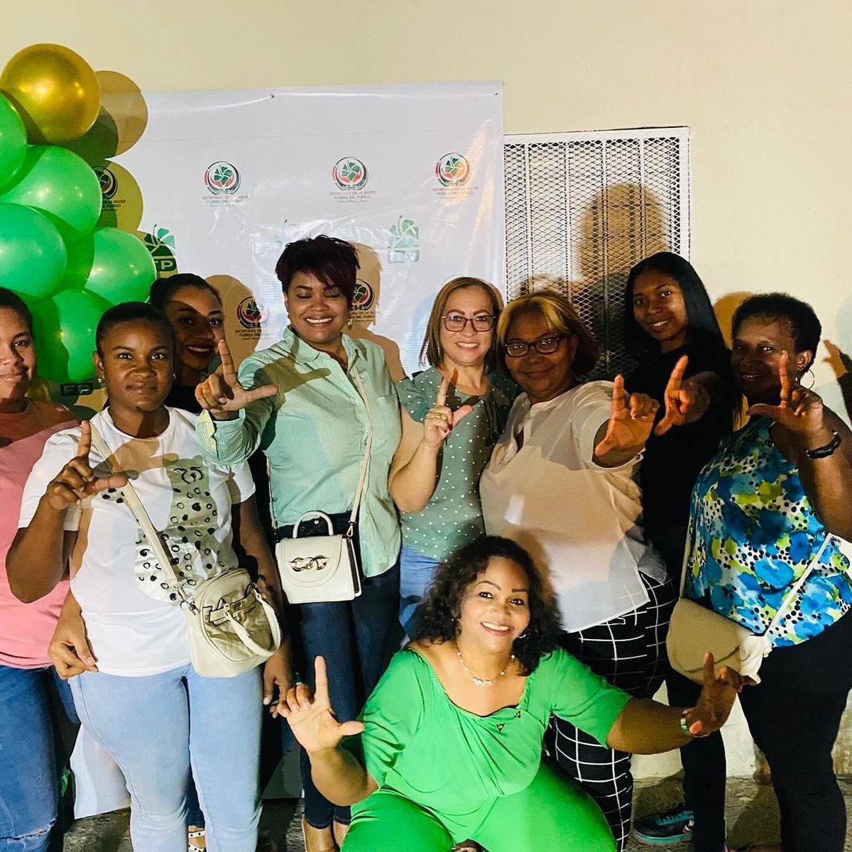 anitabritogil's tweet photo. Disfrutando de nuestra noche verde💚 de las ¡mujeres con el León! #AzuaRd #NocheVerde #MujeresFP #UnidasSomosLaFuerza @LeonelFernandez @henry_meran @Edhoarda22 @OmarLFernandez @ConLeonel1 @AngieBrooks27 @RamirezSiano @FPcomunica https://t.co/kAJLVNr5DR