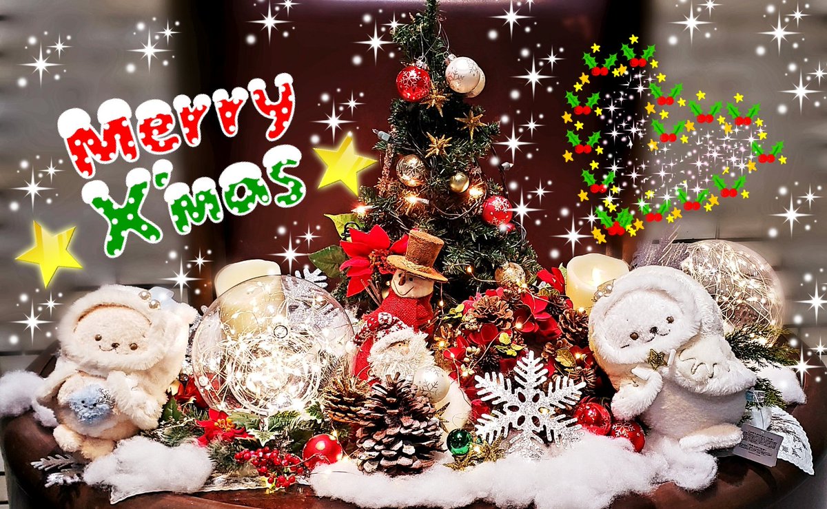 mamispica's tweet photo. @sirotan_fun 
Merry Christmasヽ(*≧ω��)ﾉ

#しろたん https://t.co/YSs01yQSSH