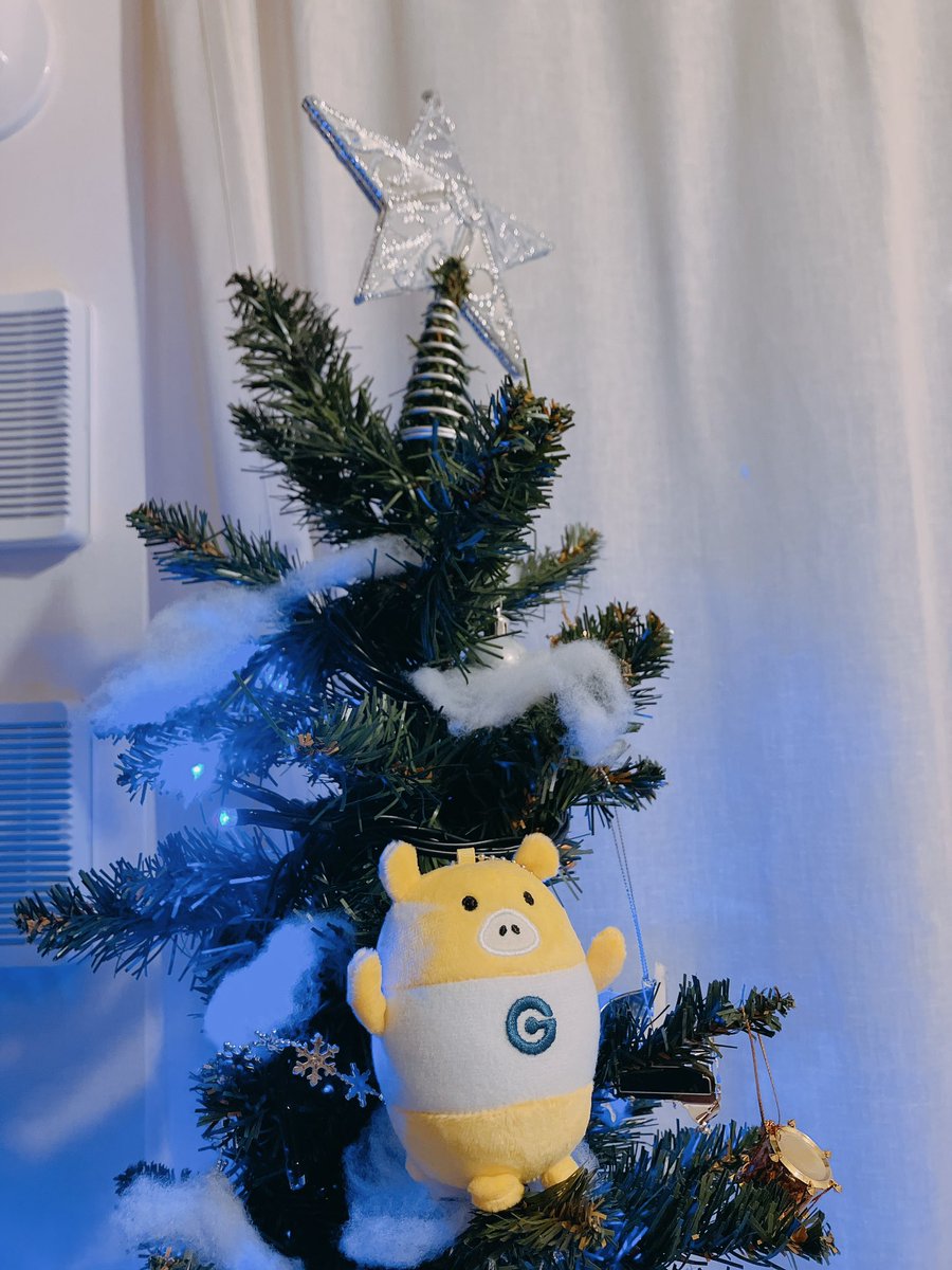 Merry Christmas  Boo🐖
#dotcoboo #MerryChrismas