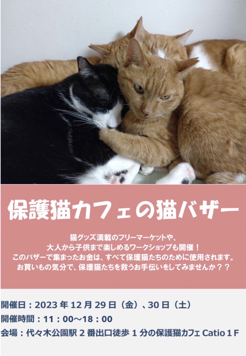 shibuyanoradio's tweet image. 【にゃかおのCatio通信】
#Catio の猫バザーでは
フリーマーケットや猫グッズワークショップを開催予定📷
ここで集まったお金は全て #保護猫 たちのために使われます。
#お買い物 や #体験 を通して、
保護猫支援してみませんか？？
日時：12月29日、30日 11時-18時
場所：@Catio41273496 の1階