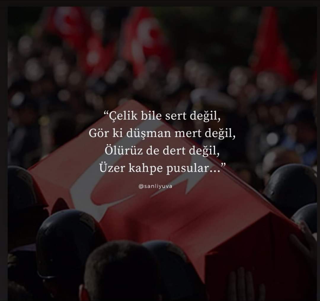 Mustafa Güralp (@mustafa_guralp) on Twitter photo 