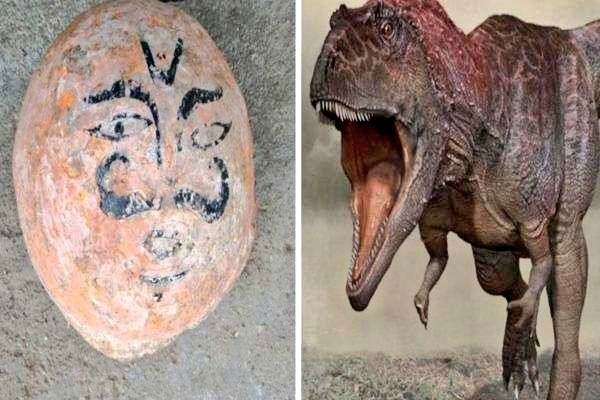Times of India Travel https://timesofindia.indiatimes.com/travel/travel-news/mp-stone-balls-worshipped-by-locals-turn-out-to-be-70-million-year-old-dinosaur-eggs/articleshow/106229679.cms via @TOItravel 